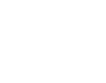 ANVE logo